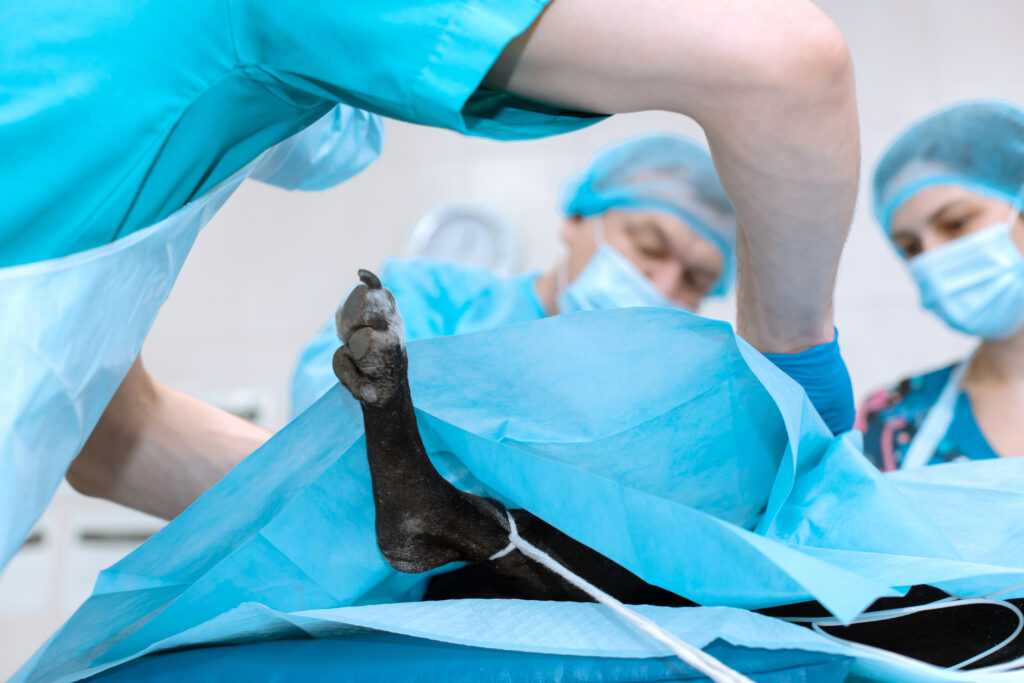 tre veterinærer som opererer en hund